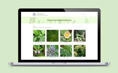 Medical Plant Database System